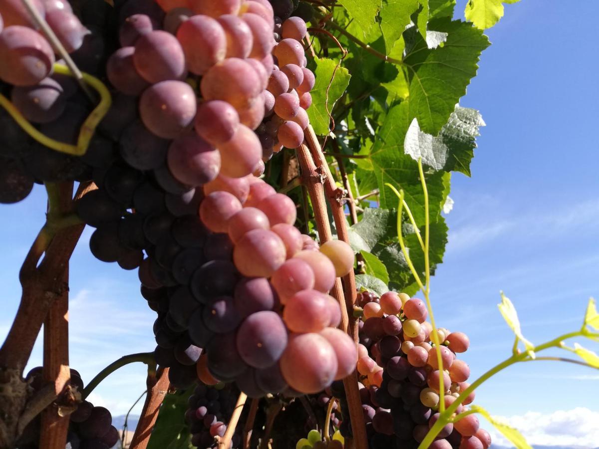 Appartement Ansitz Grustdorf à Appiano Sulla Strada Del Vino Extérieur photo