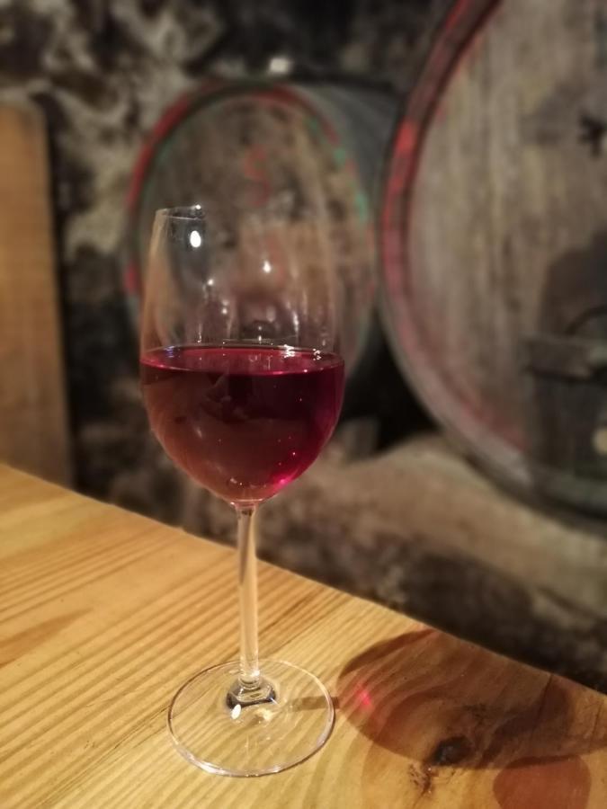Appartement Ansitz Grustdorf à Appiano Sulla Strada Del Vino Extérieur photo